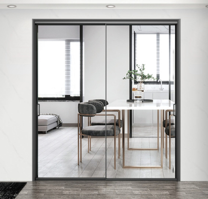 Minimalist System Aluminum Sliding Doors Two Track Single Glass Double Rail Hanging